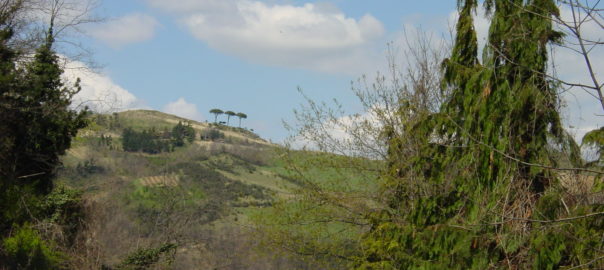 Wanderung, Dozza